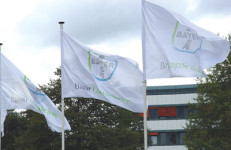 Bayer CropScience flags