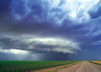 Corn field and storm