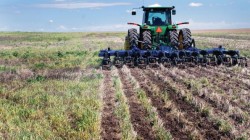 Strip-till fertilizer application method soybeans