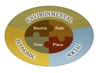4R Nutrient Stewardship diagram