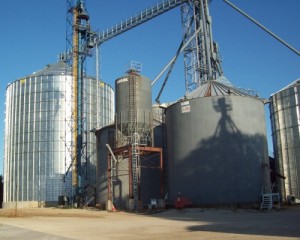 A 550,000 bushel bin at Ostrander Farmers Coop's Wykoff, MN location.