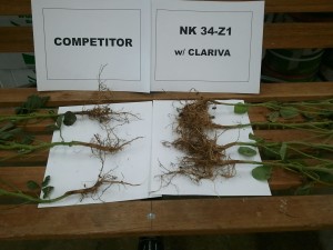 clariva vs competitor.20