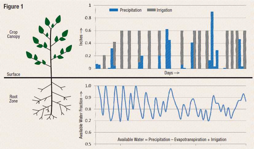 Irrigation Schedule Graph