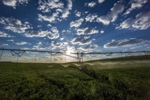 Valley Variable Rate Irrigation