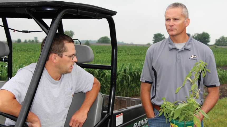 Purdue University weed scientist Dr. Bill Johnson (right) holds a freshly harvested pigweed plant in a Kankakee, IL-area plot where the university does research evaluations of various herbicide active ingredients.