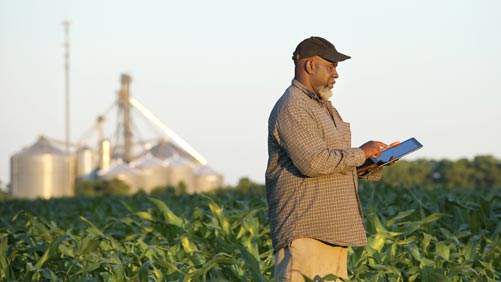 Farmer on tablet