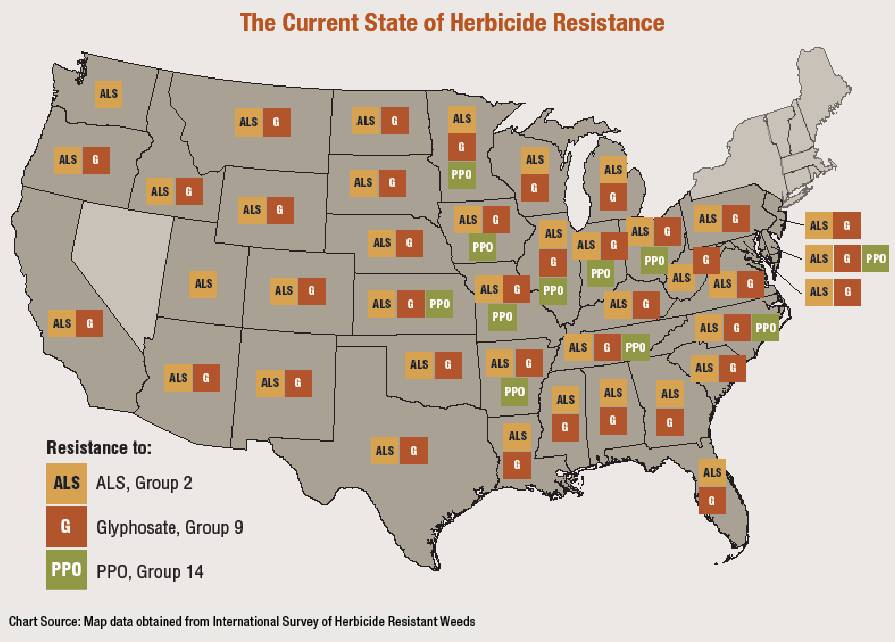 Weed Herbicide Chart