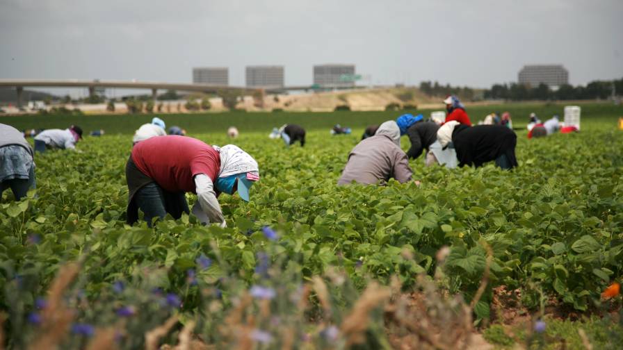 Migrant farm workers