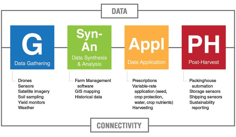 Connectivity Chart