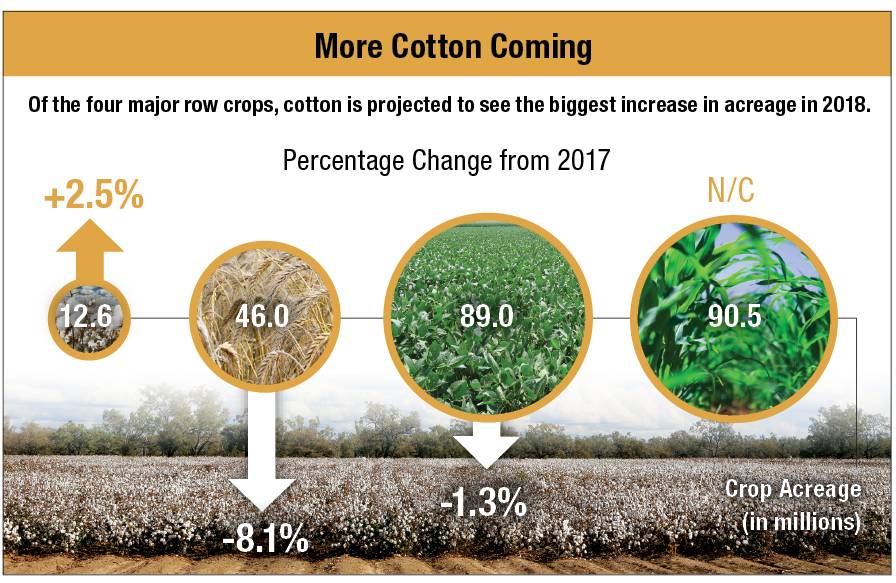 Cotton-Chart