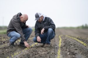 Midwestern BioAg dealer Robert Newton