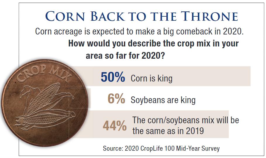 Corn Back to the Throne