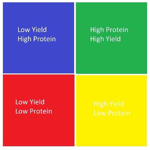 High Yield High Protein table