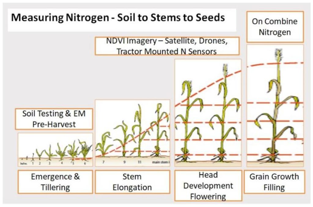 Protein Mapping Identifies Nitrogen Limited Zones Within the Field ...