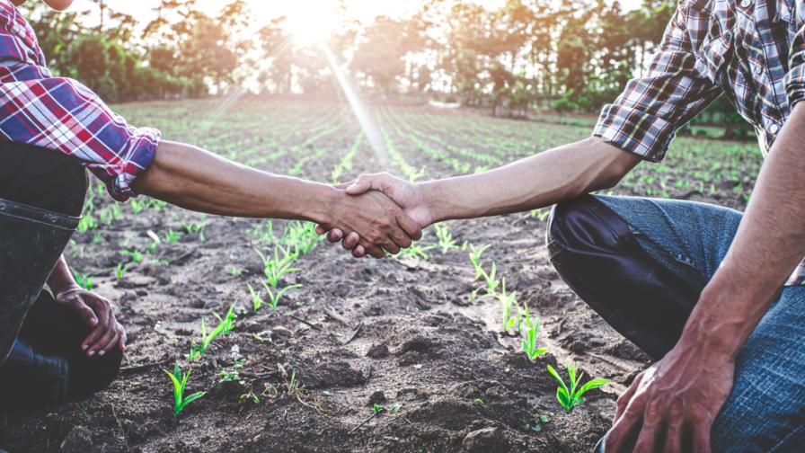 AgriSync_Farmers-in-field-shaking-hands