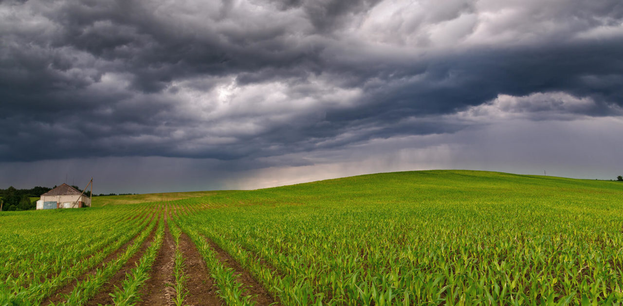 How to Optimize Nitrogen Applications During Dry Conditions - CropLife