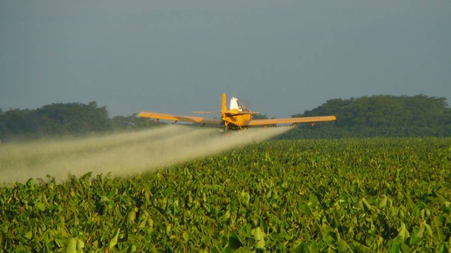 Crop duster spraying field with REGEV hybrid fungicide. Photo courtesy: STK