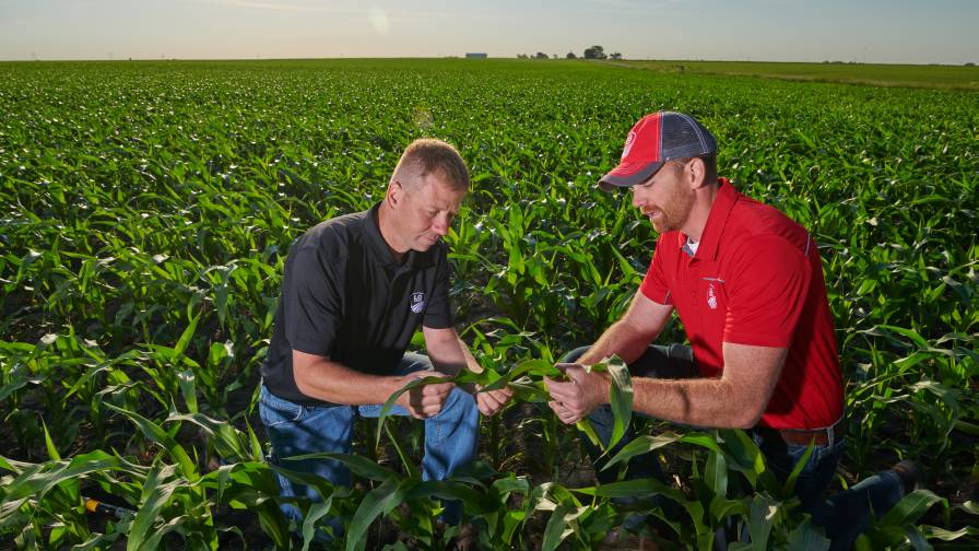 LG Seeds Agronomist Jed Norman (right) says knowing what disease pressures you’re facing can help you get the most out of an early fungicide application.